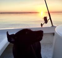 Shallow Minded Fishing Charters 30A image 7